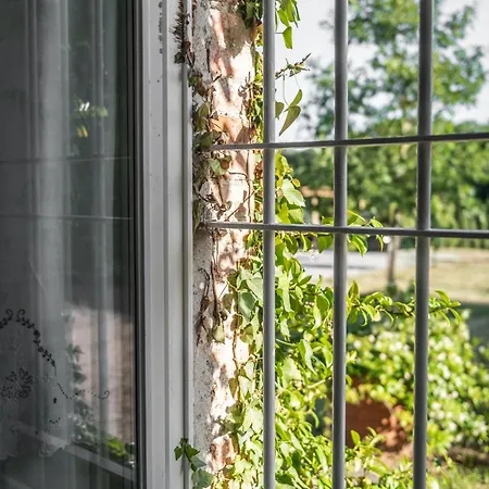 Ferienhaus Casolare Del Pin Bono *