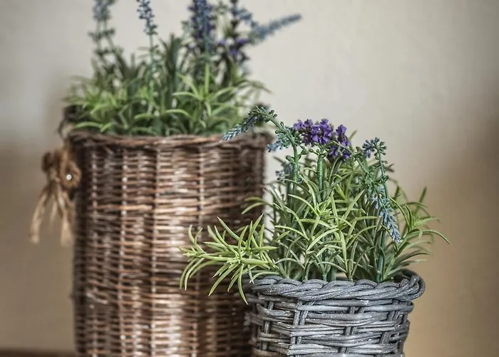 Casolare Del Pin Bono Сasa de vacaciones *