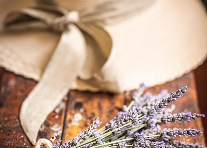 Casolare Del Pin Bono Altopascio