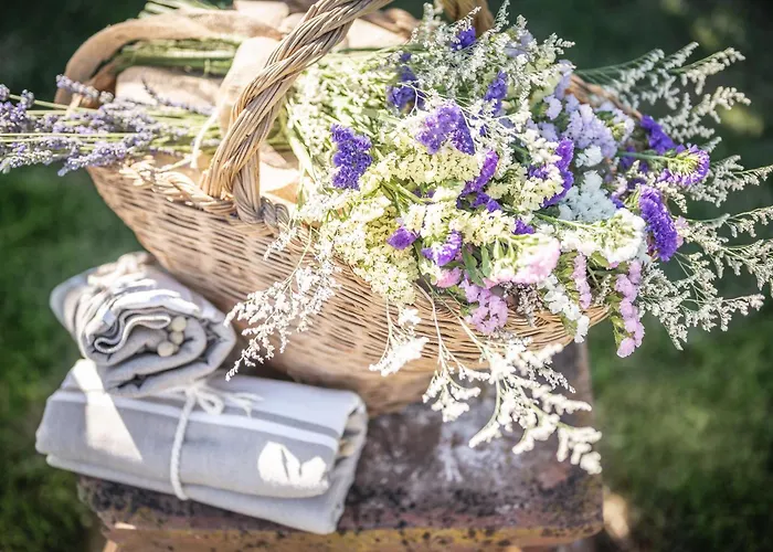 Casolare Del Pin Bono