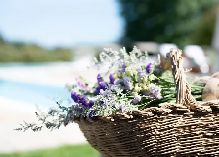 Сasa de vacaciones Casolare Del Pin Bono Altopascio