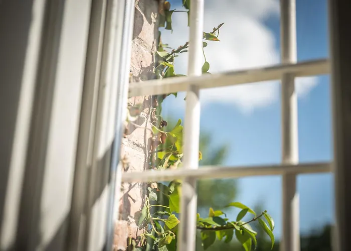 Casolare Del Pin Bono *