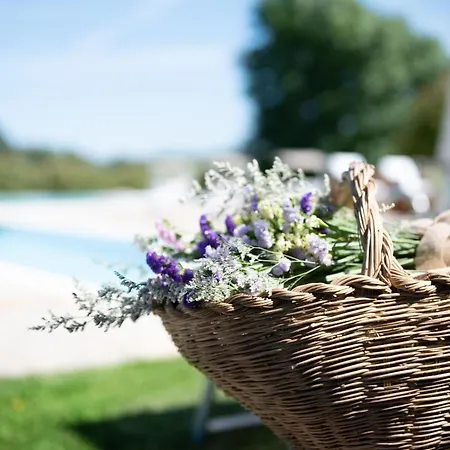 Holiday home Casolare Del Pin Bono Altopascio